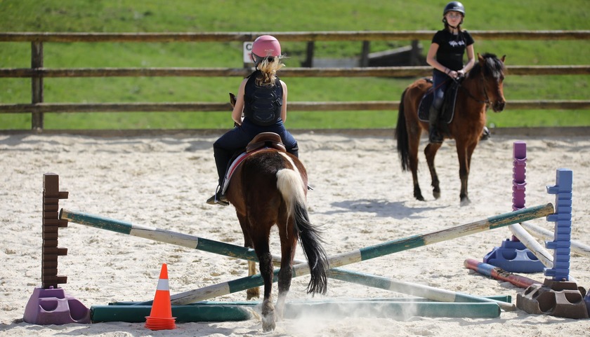 cavaliere-cso-pervencheres Centre équestre pour bébés juniors et seniors près du Mans